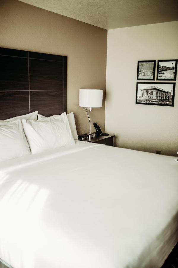 Cobblestone Hotel & Suites インターナショナルフォールズ エクステリア 写真